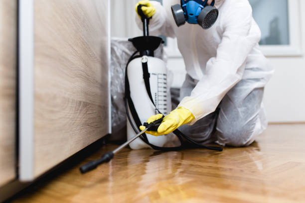 Best Rat Extermination Near Me  in Cleburne, TX