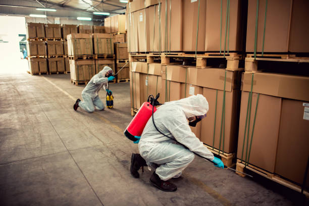 Best Best Pest Control Companies  in Cleburne, TX