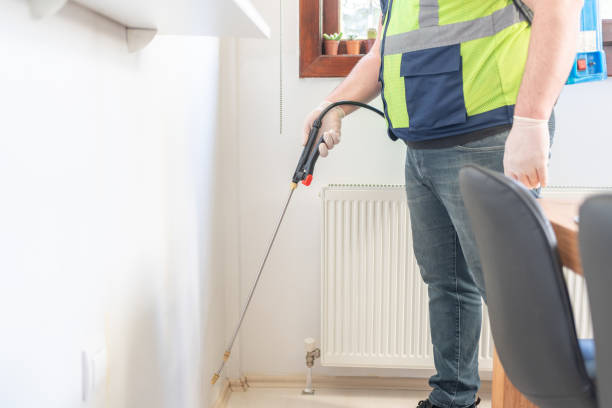 Best Termite Control Services  in Cleburne, TX