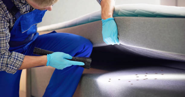 Best Pest Control Near Me  in Cleburne, TX