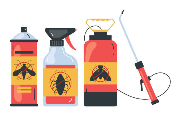 Best Pest Control Treatment  in Cleburne, TX