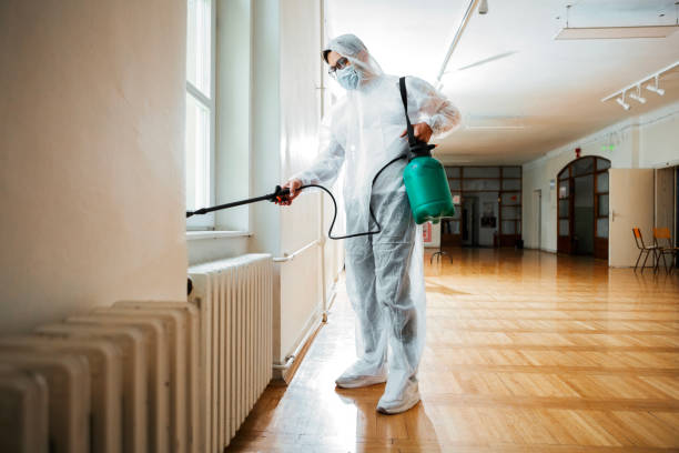 Professional Pest Control in Cleburne, TX
