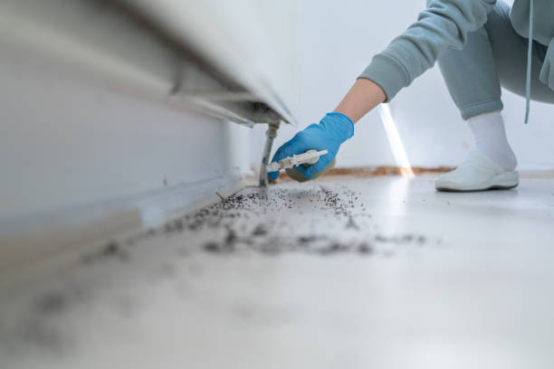 Professional Pest Control in Cleburne, TX